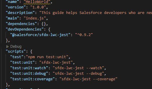 package.json look
