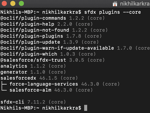 fig: Salesforce cli Version number